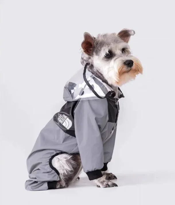 Paw Chic Raincoat