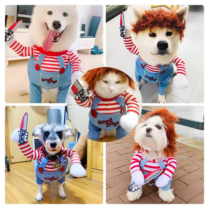 Pet Dog Costume