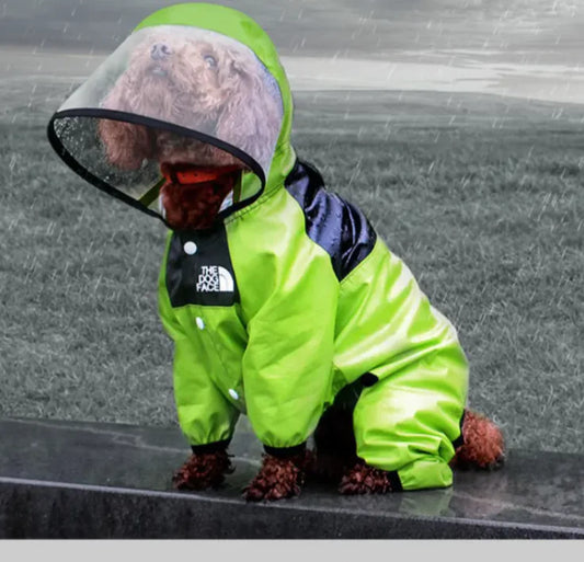 Paw Chic Raincoat